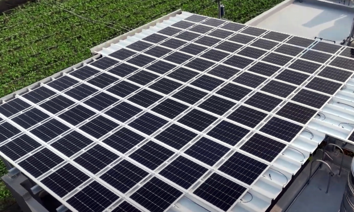 PT视讯(中国区)官网SunSteel光电浪板升级双玻结构，以提升机械负载强度及气候耐候度，可广泛运用于多元场域