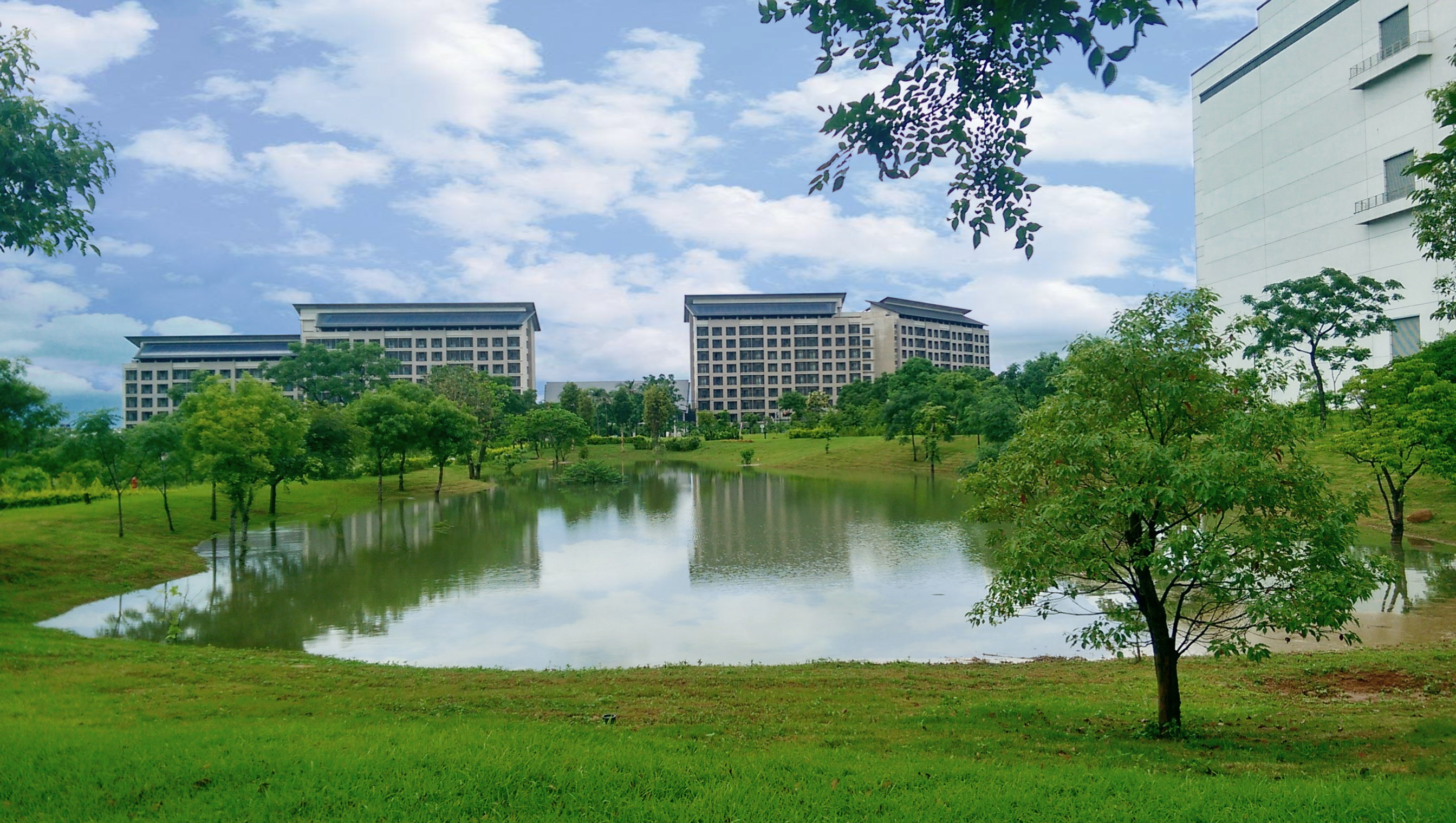 PT视讯(中国区)官网响应国际倡议生物多样性趋势，首次发布TNFD自然相关财务揭露报告书，擘划及开展PT视讯(中国区)官网生物多样性政策之承诺，逐步迈向与自然和谐共生